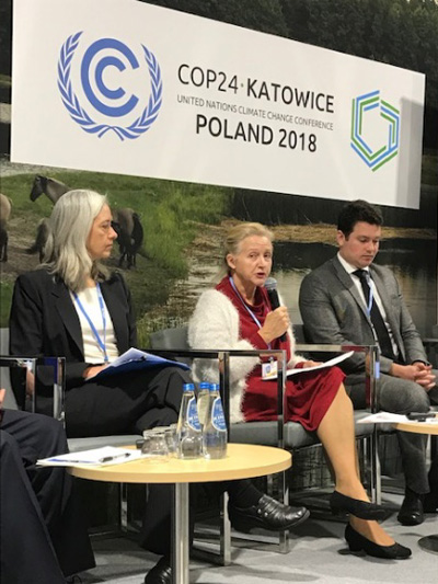 three COP 24 side events panelists, including Jill Engel-Cox and Agneta Rising, seated in front of a COP 24 banner